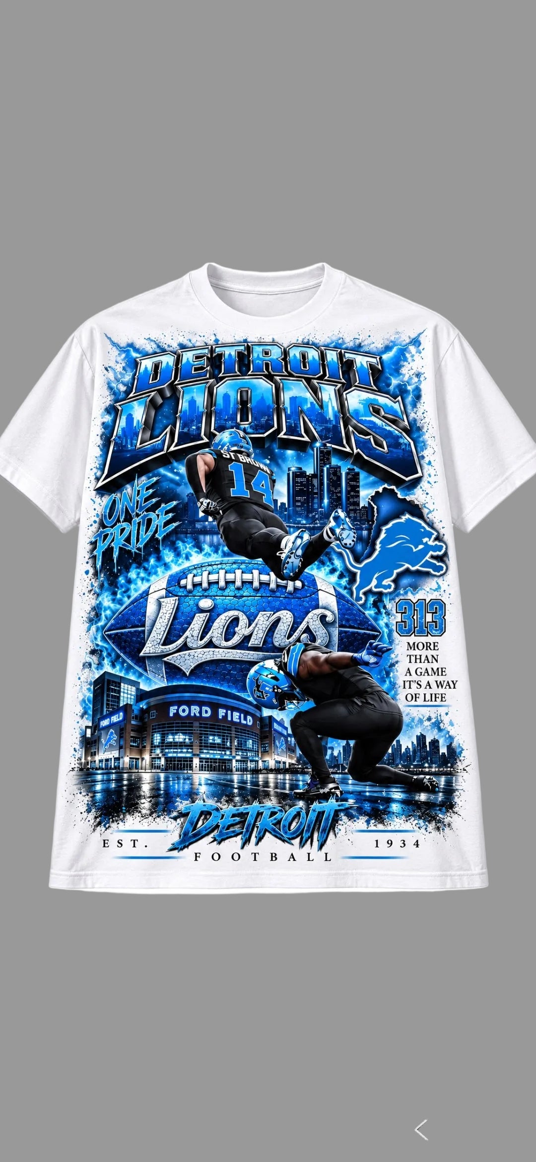DETROIT LIONS ONE PRIDE