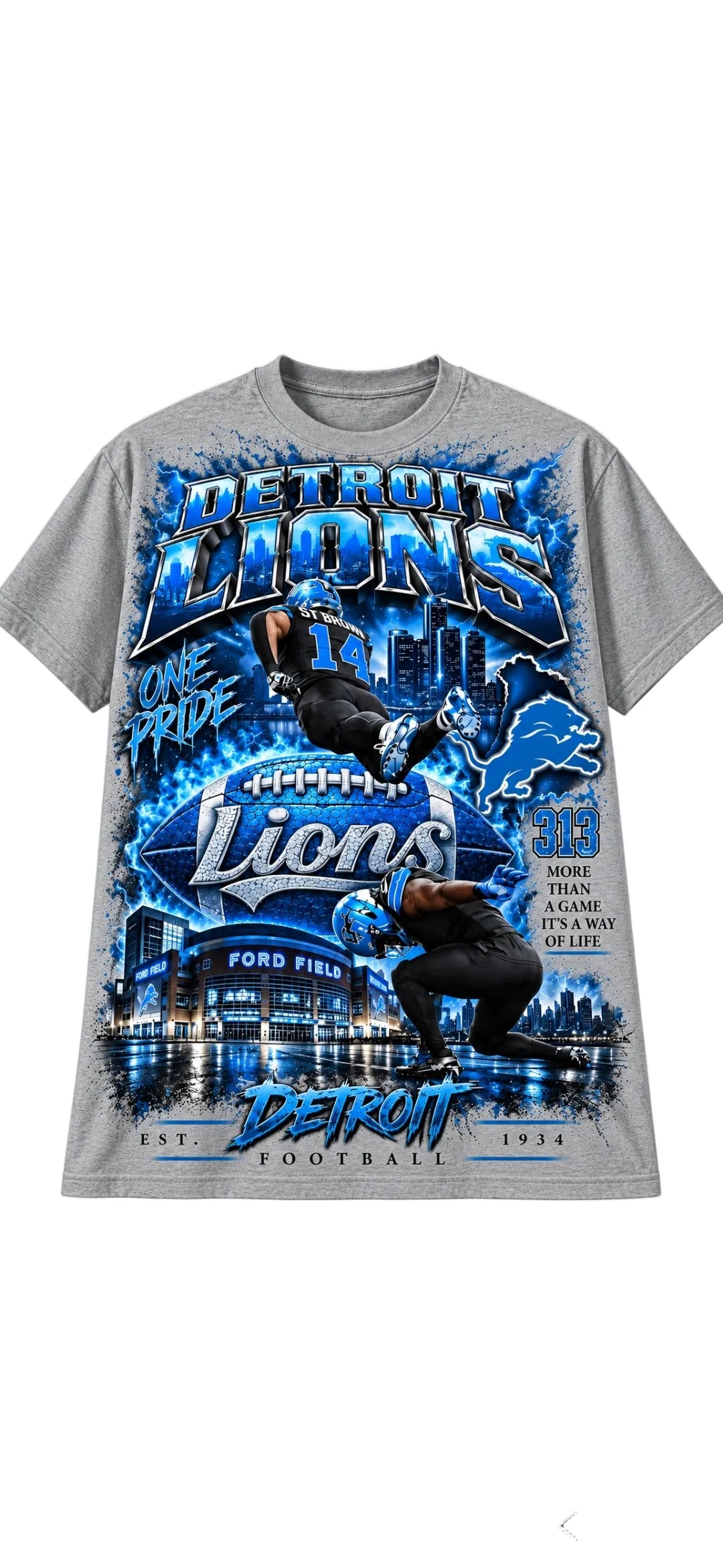 DETROIT LIONS ONE PRIDE