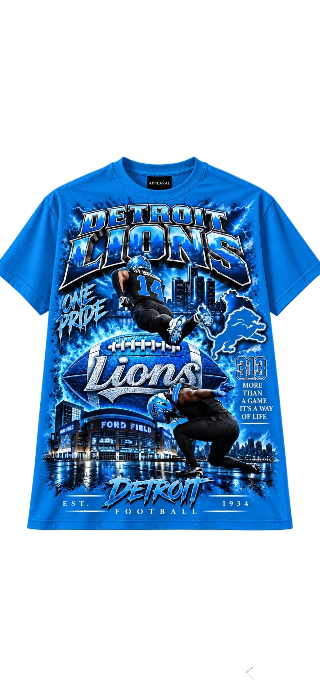 DETROIT LIONS ONE PRIDE
